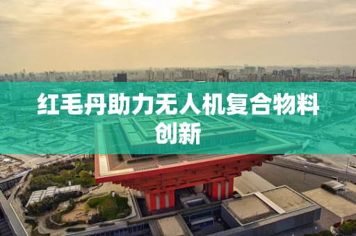 红毛丹助力无人机复合物料创新