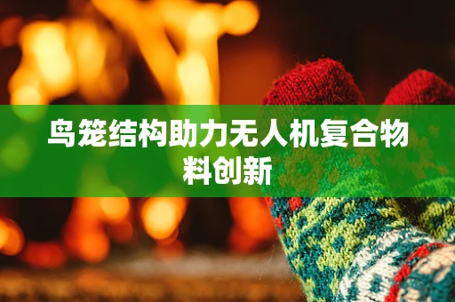 鸟笼结构助力无人机复合物料创新