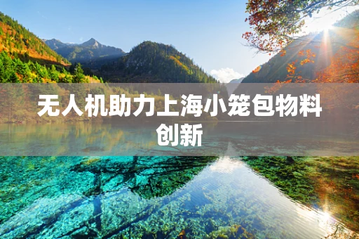 无人机助力上海小笼包物料创新