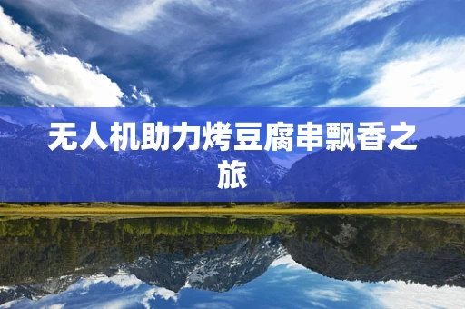 无人机助力烤豆腐串飘香之旅