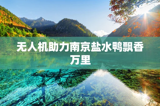 无人机助力南京盐水鸭飘香万里