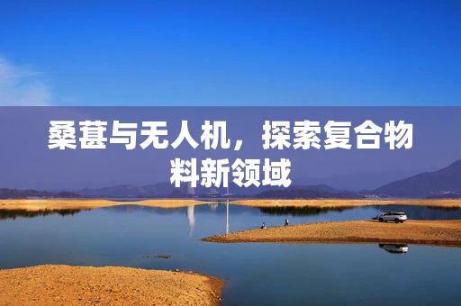 桑葚与无人机，探索复合物料新领域