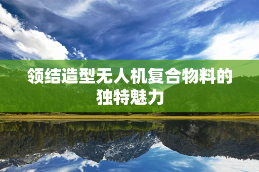 领结造型无人机复合物料的独特魅力