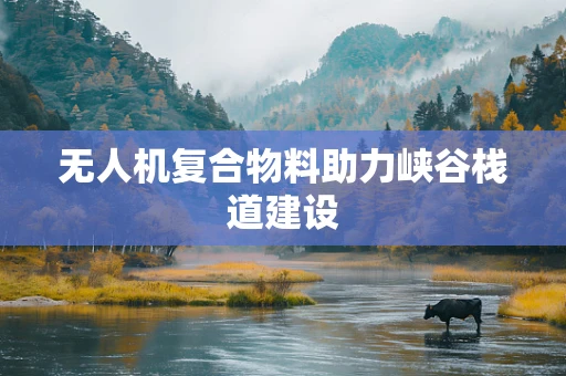 无人机复合物料助力峡谷栈道建设