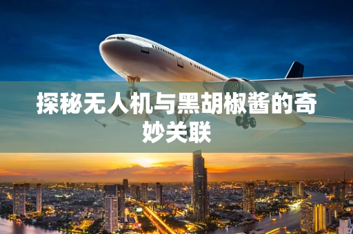 探秘无人机与黑胡椒酱的奇妙关联