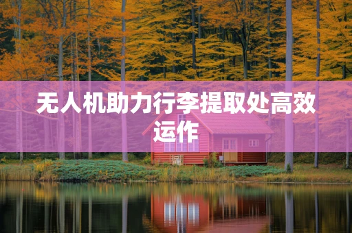 无人机助力行李提取处高效运作