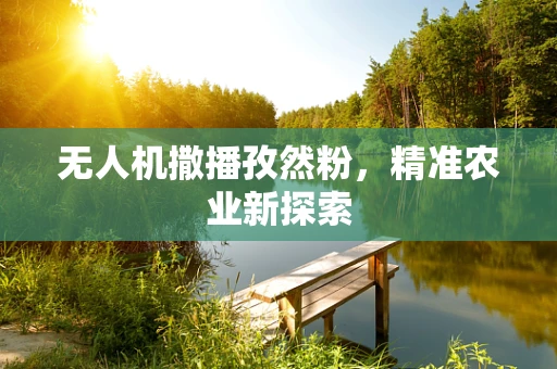 无人机撒播孜然粉，精准农业新探索