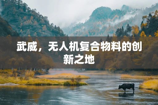 武威，无人机复合物料的创新之地