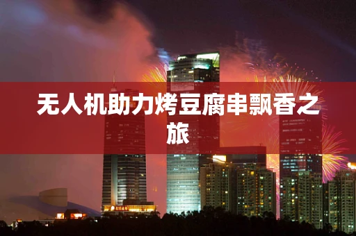 无人机助力烤豆腐串飘香之旅