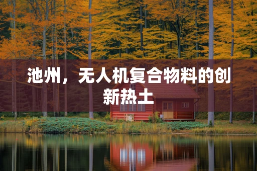 池州，无人机复合物料的创新热土