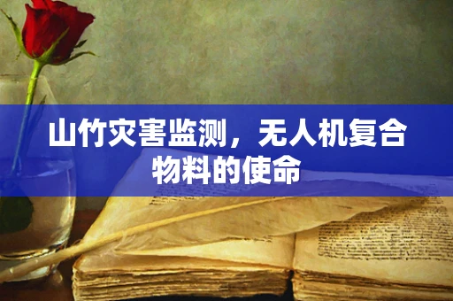 山竹灾害监测，无人机复合物料的使命