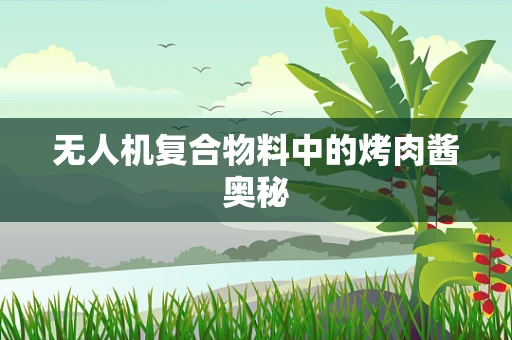 无人机复合物料中的烤肉酱奥秘