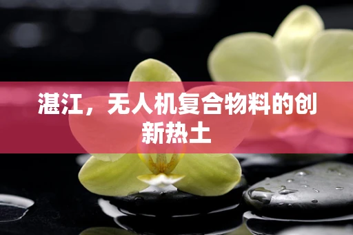 湛江，无人机复合物料的创新热土