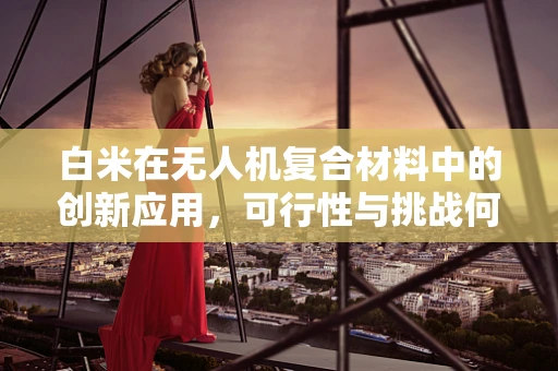 白米在无人机复合材料中的创新应用，可行性与挑战何在？