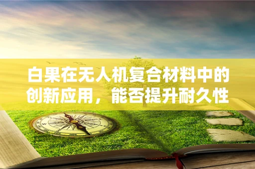白果在无人机复合材料中的创新应用，能否提升耐久性与轻量化？
