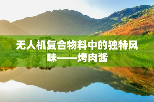 无人机复合物料中的独特风味——烤肉酱