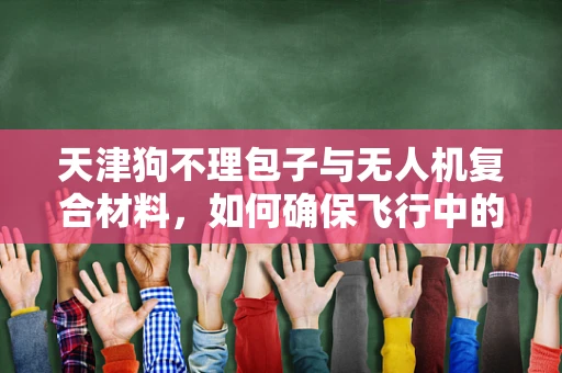 天津狗不理包子与无人机复合材料，如何确保飞行中的美食传递安全无虞？