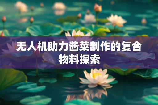 无人机助力酱菜制作的复合物料探索