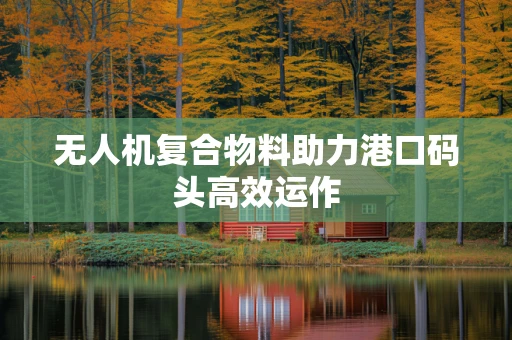 无人机复合物料助力港口码头高效运作